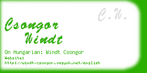 csongor windt business card